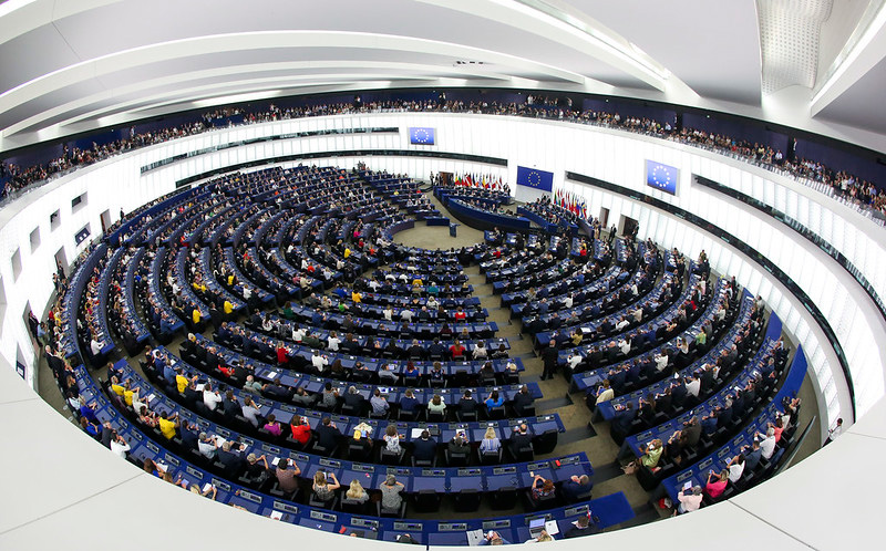 European parliament election