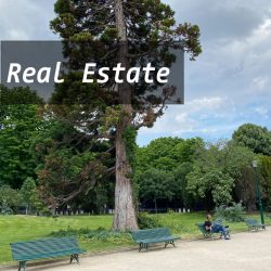 Real-Estate21