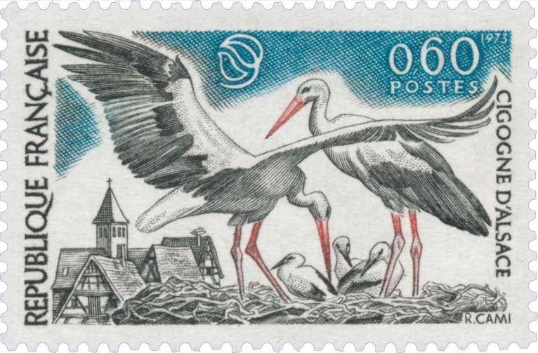 Storks of Alsace